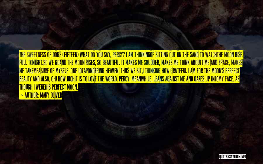 Mary Oliver Quotes: The Sweetness Of Dogs (fifteen) What Do You Say, Percy? I Am Thinkingof Sitting Out On The Sand To Watchthe