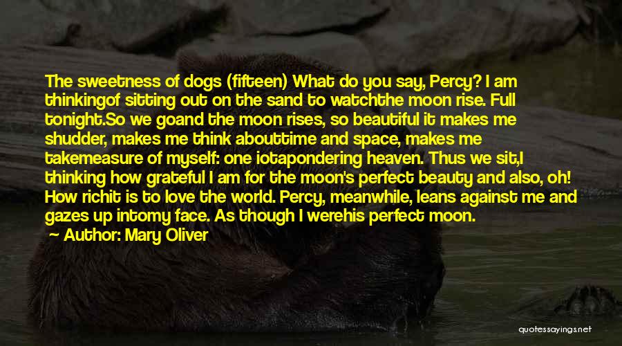 Mary Oliver Quotes: The Sweetness Of Dogs (fifteen) What Do You Say, Percy? I Am Thinkingof Sitting Out On The Sand To Watchthe