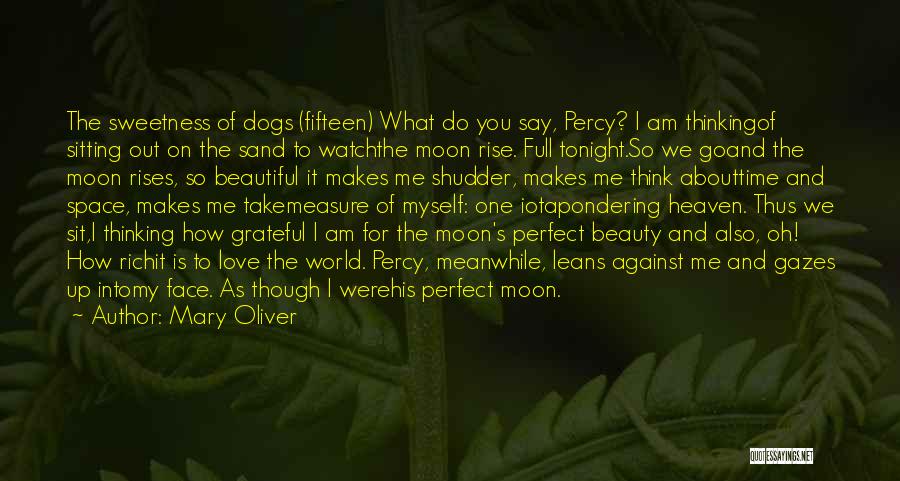 Mary Oliver Quotes: The Sweetness Of Dogs (fifteen) What Do You Say, Percy? I Am Thinkingof Sitting Out On The Sand To Watchthe