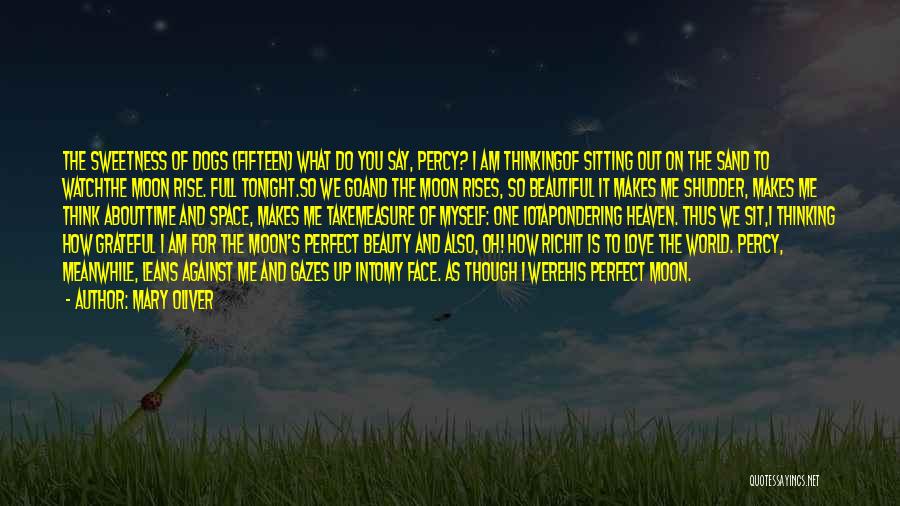Mary Oliver Quotes: The Sweetness Of Dogs (fifteen) What Do You Say, Percy? I Am Thinkingof Sitting Out On The Sand To Watchthe