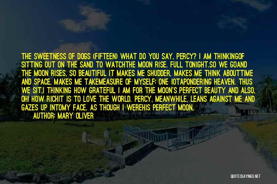 Mary Oliver Quotes: The Sweetness Of Dogs (fifteen) What Do You Say, Percy? I Am Thinkingof Sitting Out On The Sand To Watchthe