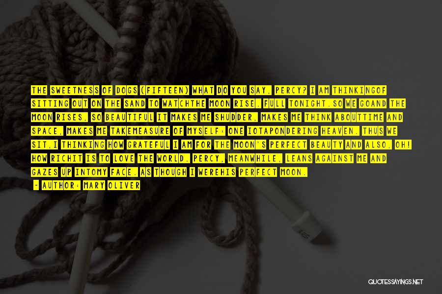 Mary Oliver Quotes: The Sweetness Of Dogs (fifteen) What Do You Say, Percy? I Am Thinkingof Sitting Out On The Sand To Watchthe