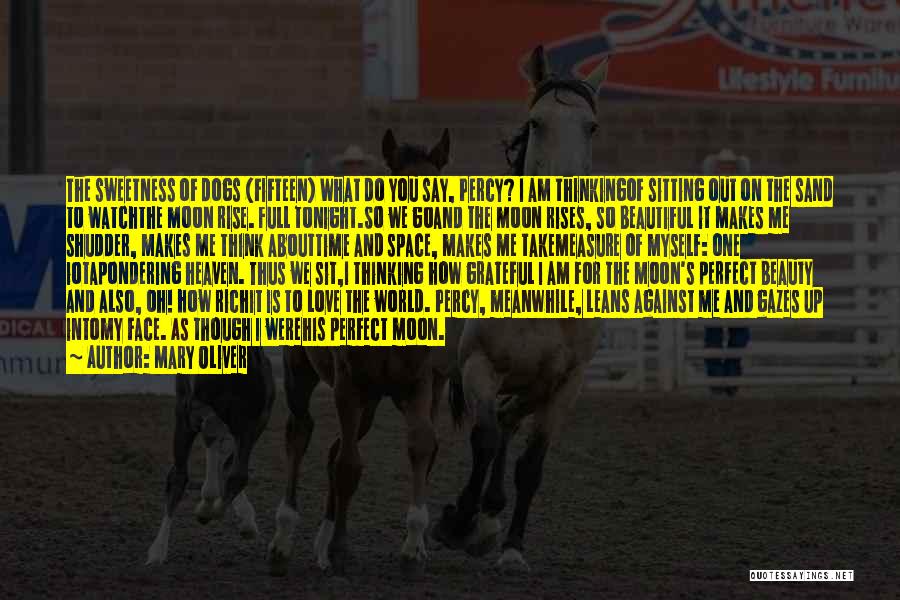 Mary Oliver Quotes: The Sweetness Of Dogs (fifteen) What Do You Say, Percy? I Am Thinkingof Sitting Out On The Sand To Watchthe