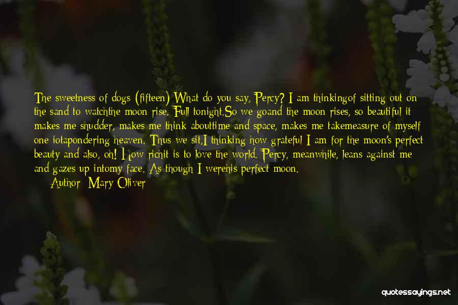 Mary Oliver Quotes: The Sweetness Of Dogs (fifteen) What Do You Say, Percy? I Am Thinkingof Sitting Out On The Sand To Watchthe