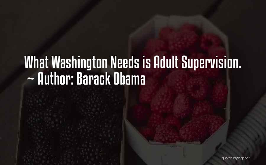Barack Obama Quotes: What Washington Needs Is Adult Supervision.