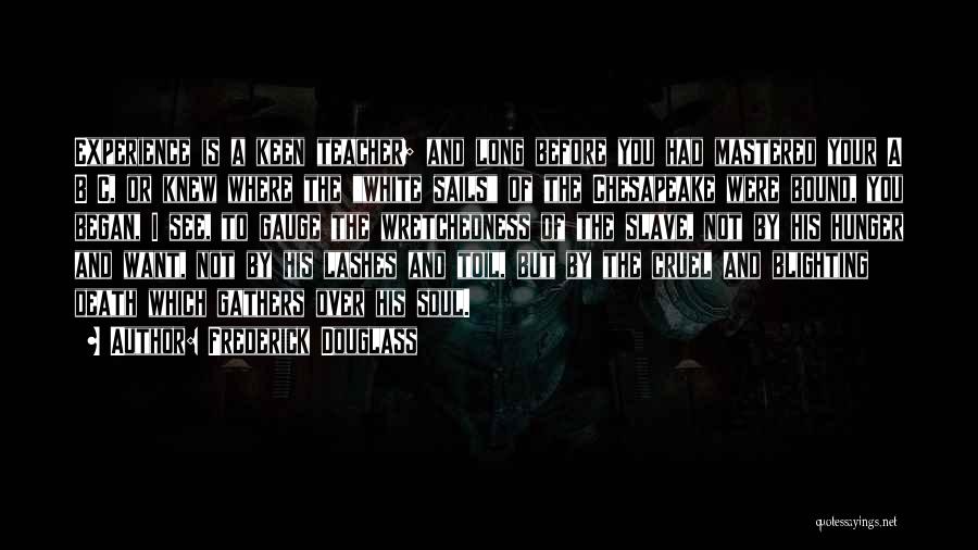 Frederick Douglass Quotes: Experience Is A Keen Teacher; And Long Before You Had Mastered Your A B C, Or Knew Where The White