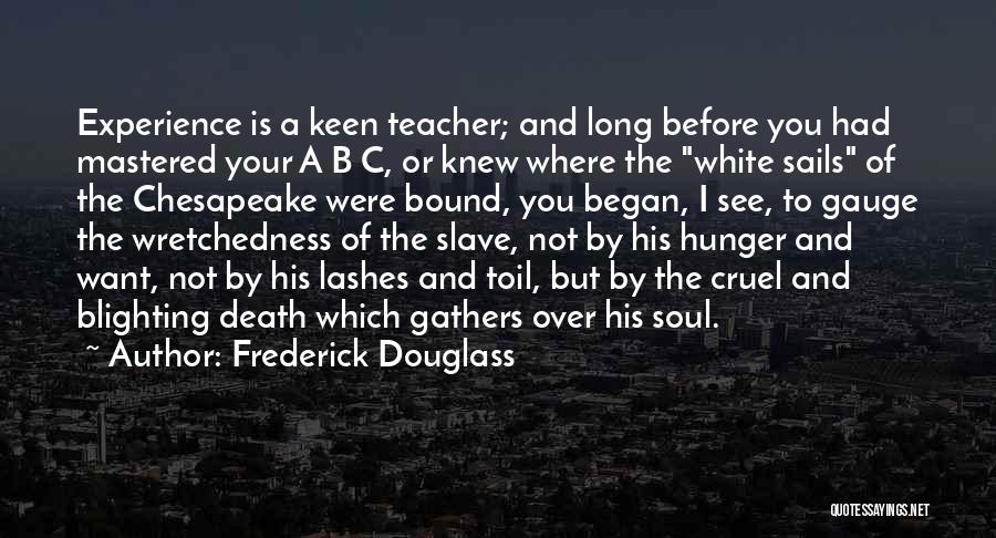 Frederick Douglass Quotes: Experience Is A Keen Teacher; And Long Before You Had Mastered Your A B C, Or Knew Where The White