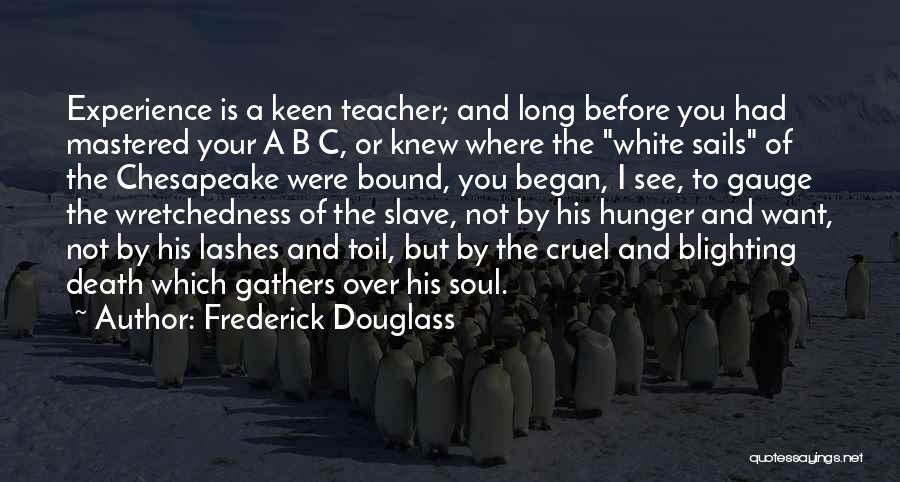 Frederick Douglass Quotes: Experience Is A Keen Teacher; And Long Before You Had Mastered Your A B C, Or Knew Where The White