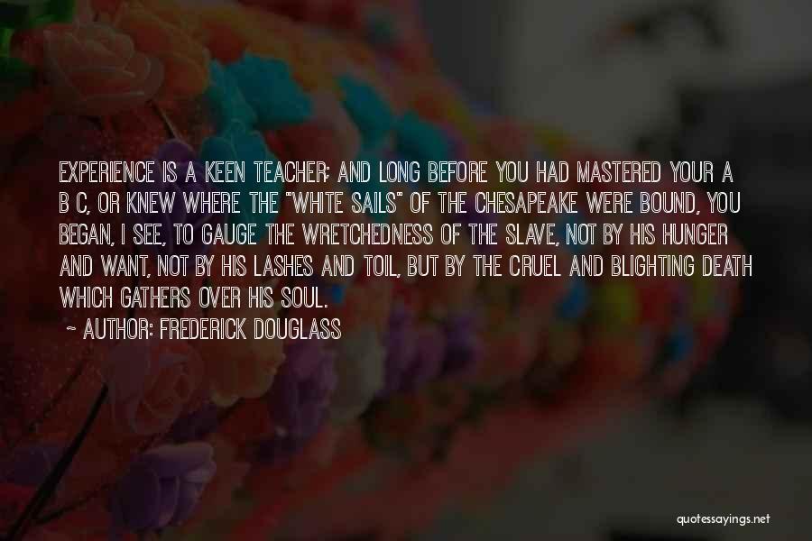 Frederick Douglass Quotes: Experience Is A Keen Teacher; And Long Before You Had Mastered Your A B C, Or Knew Where The White