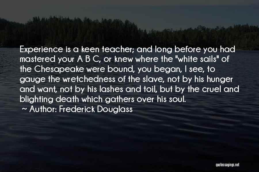 Frederick Douglass Quotes: Experience Is A Keen Teacher; And Long Before You Had Mastered Your A B C, Or Knew Where The White