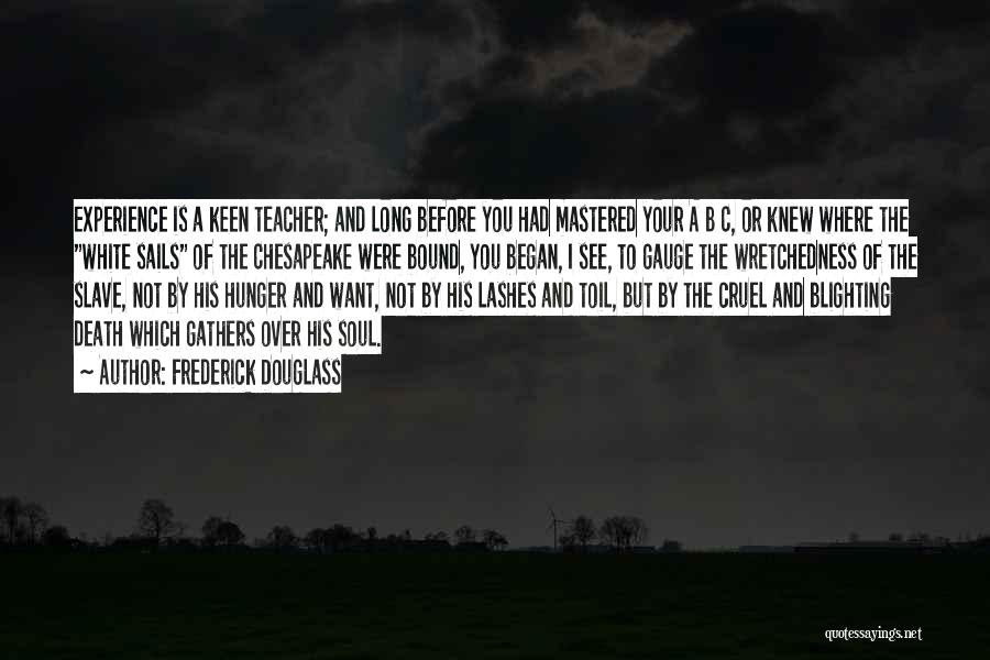 Frederick Douglass Quotes: Experience Is A Keen Teacher; And Long Before You Had Mastered Your A B C, Or Knew Where The White