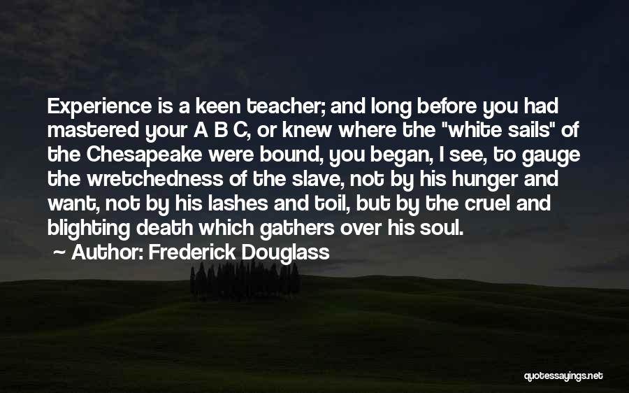 Frederick Douglass Quotes: Experience Is A Keen Teacher; And Long Before You Had Mastered Your A B C, Or Knew Where The White