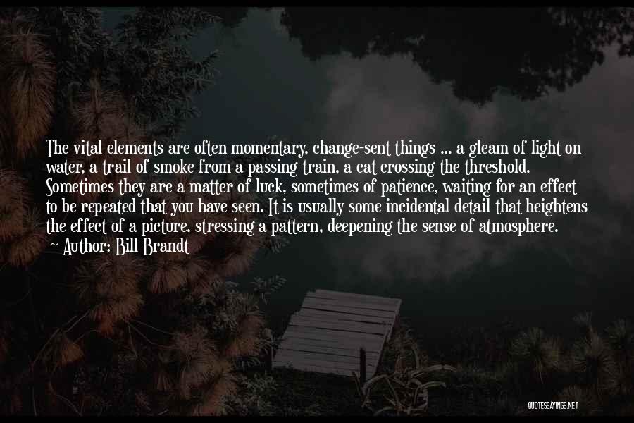 Bill Brandt Quotes: The Vital Elements Are Often Momentary, Change-sent Things ... A Gleam Of Light On Water, A Trail Of Smoke From