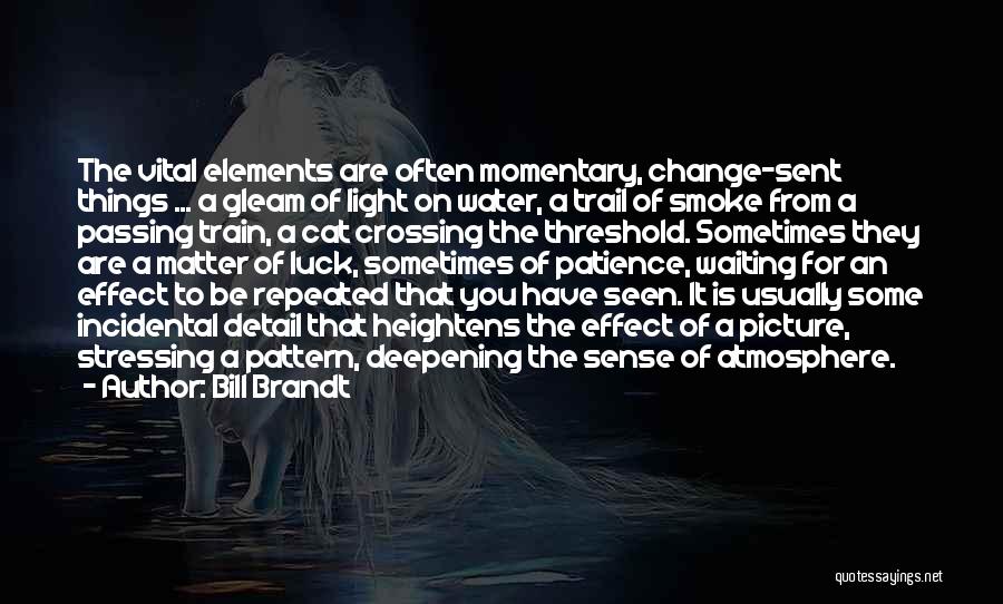 Bill Brandt Quotes: The Vital Elements Are Often Momentary, Change-sent Things ... A Gleam Of Light On Water, A Trail Of Smoke From