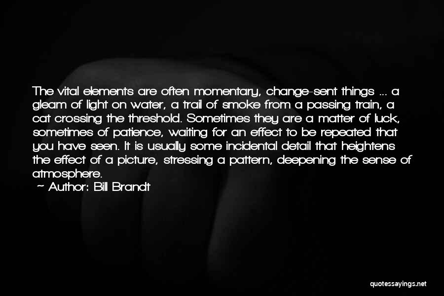 Bill Brandt Quotes: The Vital Elements Are Often Momentary, Change-sent Things ... A Gleam Of Light On Water, A Trail Of Smoke From