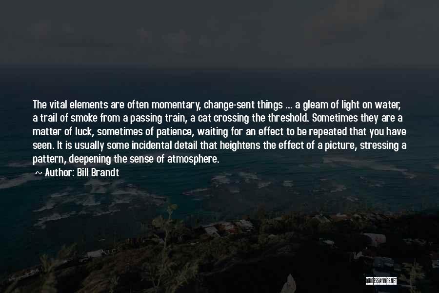 Bill Brandt Quotes: The Vital Elements Are Often Momentary, Change-sent Things ... A Gleam Of Light On Water, A Trail Of Smoke From