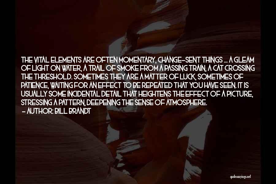 Bill Brandt Quotes: The Vital Elements Are Often Momentary, Change-sent Things ... A Gleam Of Light On Water, A Trail Of Smoke From