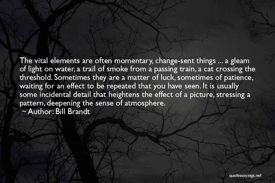 Bill Brandt Quotes: The Vital Elements Are Often Momentary, Change-sent Things ... A Gleam Of Light On Water, A Trail Of Smoke From