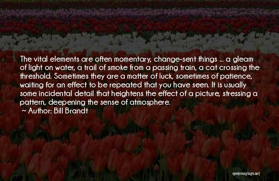 Bill Brandt Quotes: The Vital Elements Are Often Momentary, Change-sent Things ... A Gleam Of Light On Water, A Trail Of Smoke From