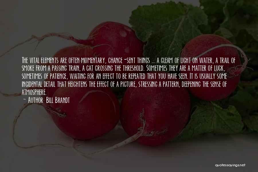 Bill Brandt Quotes: The Vital Elements Are Often Momentary, Change-sent Things ... A Gleam Of Light On Water, A Trail Of Smoke From