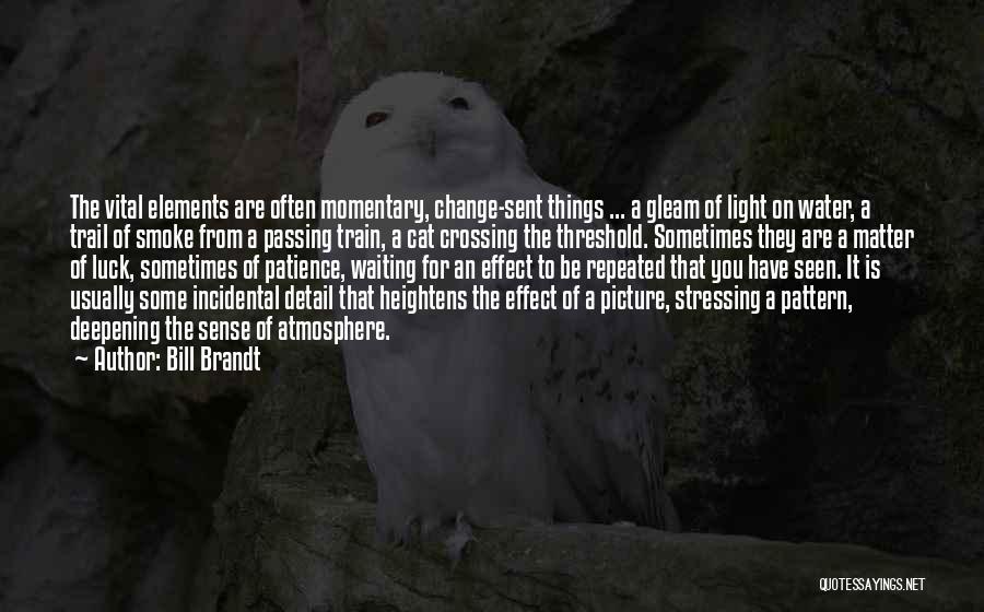 Bill Brandt Quotes: The Vital Elements Are Often Momentary, Change-sent Things ... A Gleam Of Light On Water, A Trail Of Smoke From