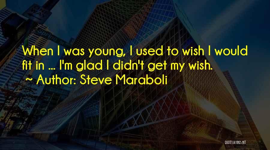 Steve Maraboli Quotes: When I Was Young, I Used To Wish I Would Fit In ... I'm Glad I Didn't Get My Wish.