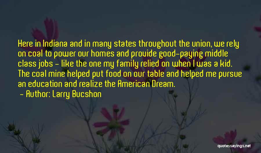 Larry Bucshon Quotes: Here In Indiana And In Many States Throughout The Union, We Rely On Coal To Power Our Homes And Provide