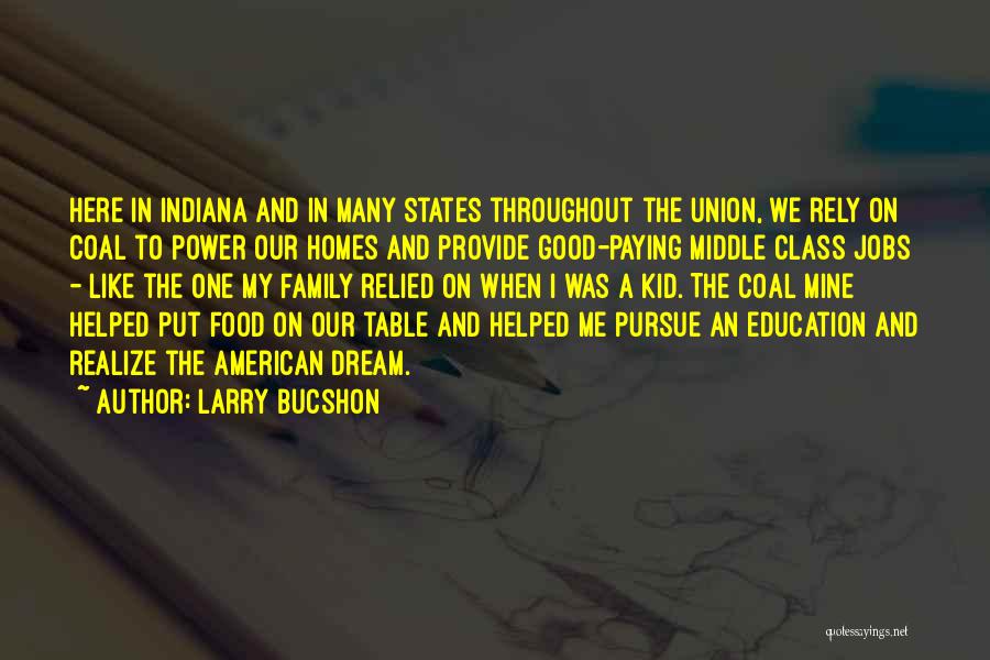 Larry Bucshon Quotes: Here In Indiana And In Many States Throughout The Union, We Rely On Coal To Power Our Homes And Provide