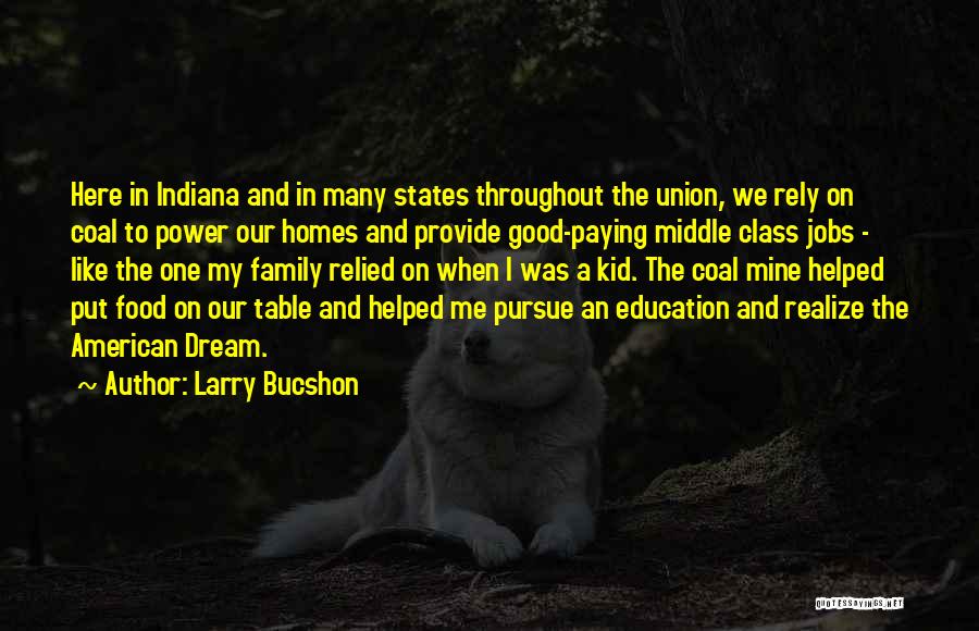 Larry Bucshon Quotes: Here In Indiana And In Many States Throughout The Union, We Rely On Coal To Power Our Homes And Provide