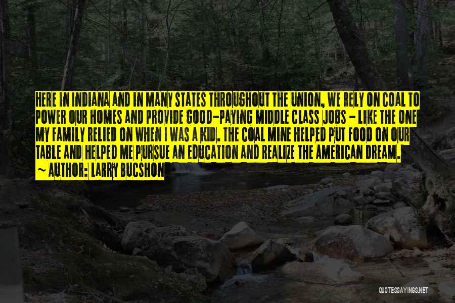 Larry Bucshon Quotes: Here In Indiana And In Many States Throughout The Union, We Rely On Coal To Power Our Homes And Provide