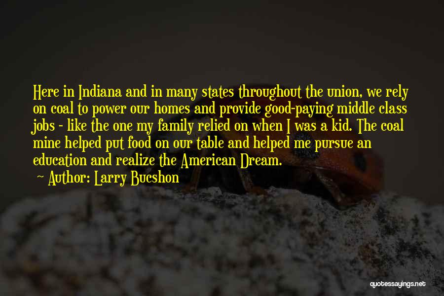 Larry Bucshon Quotes: Here In Indiana And In Many States Throughout The Union, We Rely On Coal To Power Our Homes And Provide