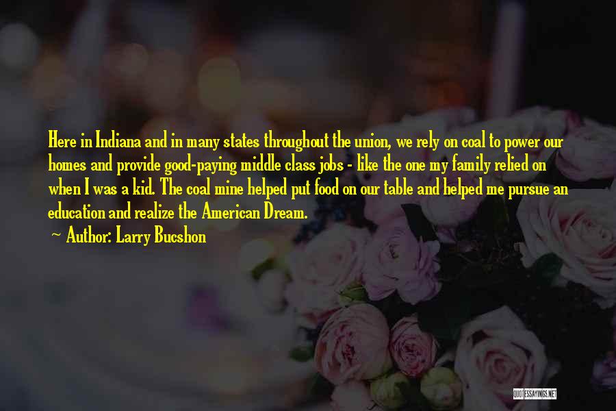 Larry Bucshon Quotes: Here In Indiana And In Many States Throughout The Union, We Rely On Coal To Power Our Homes And Provide