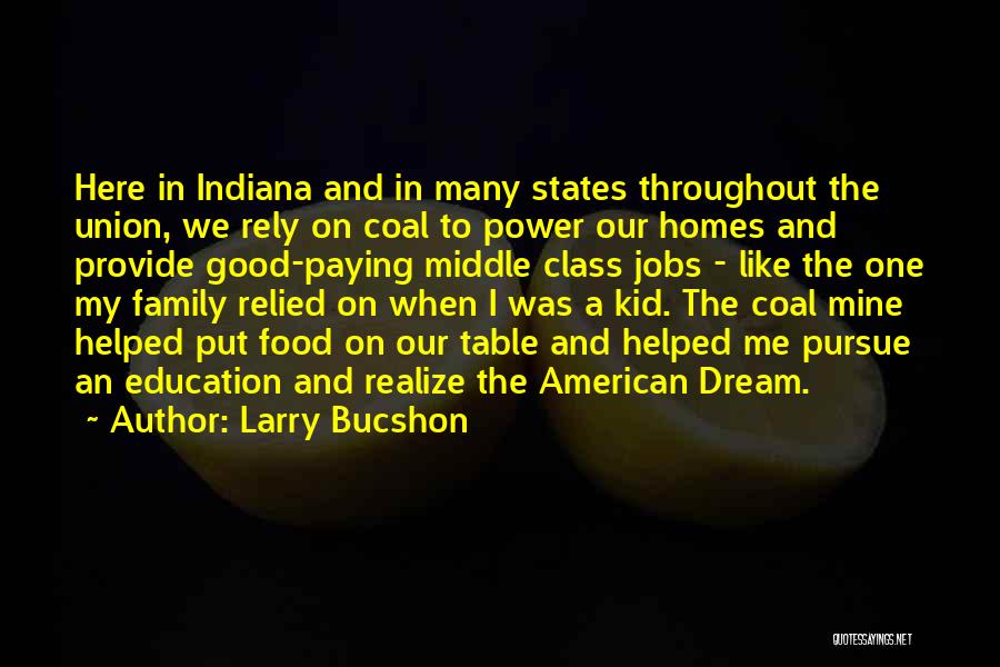 Larry Bucshon Quotes: Here In Indiana And In Many States Throughout The Union, We Rely On Coal To Power Our Homes And Provide