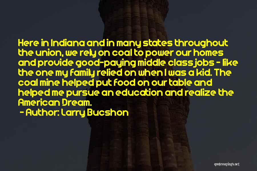 Larry Bucshon Quotes: Here In Indiana And In Many States Throughout The Union, We Rely On Coal To Power Our Homes And Provide