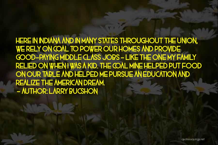 Larry Bucshon Quotes: Here In Indiana And In Many States Throughout The Union, We Rely On Coal To Power Our Homes And Provide