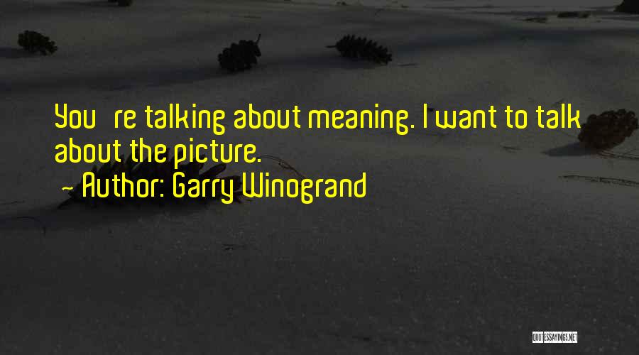 Garry Winogrand Quotes: You're Talking About Meaning. I Want To Talk About The Picture.