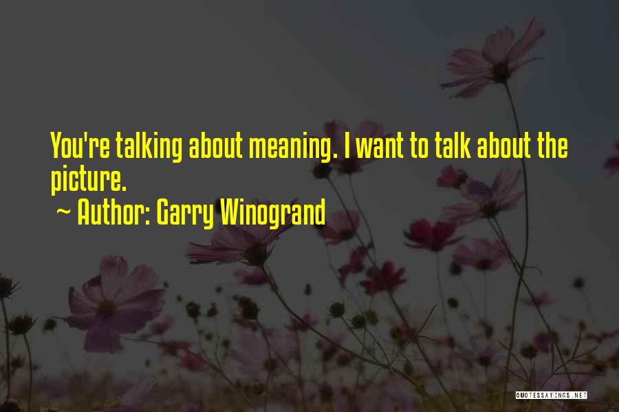 Garry Winogrand Quotes: You're Talking About Meaning. I Want To Talk About The Picture.