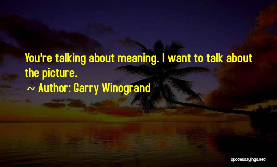 Garry Winogrand Quotes: You're Talking About Meaning. I Want To Talk About The Picture.