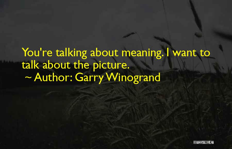 Garry Winogrand Quotes: You're Talking About Meaning. I Want To Talk About The Picture.