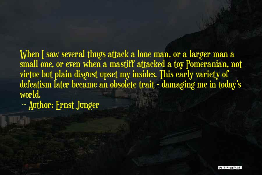 Ernst Junger Quotes: When I Saw Several Thugs Attack A Lone Man, Or A Larger Man A Small One, Or Even When A