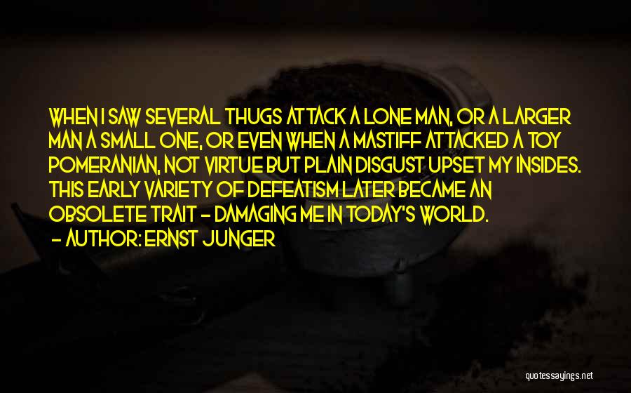 Ernst Junger Quotes: When I Saw Several Thugs Attack A Lone Man, Or A Larger Man A Small One, Or Even When A
