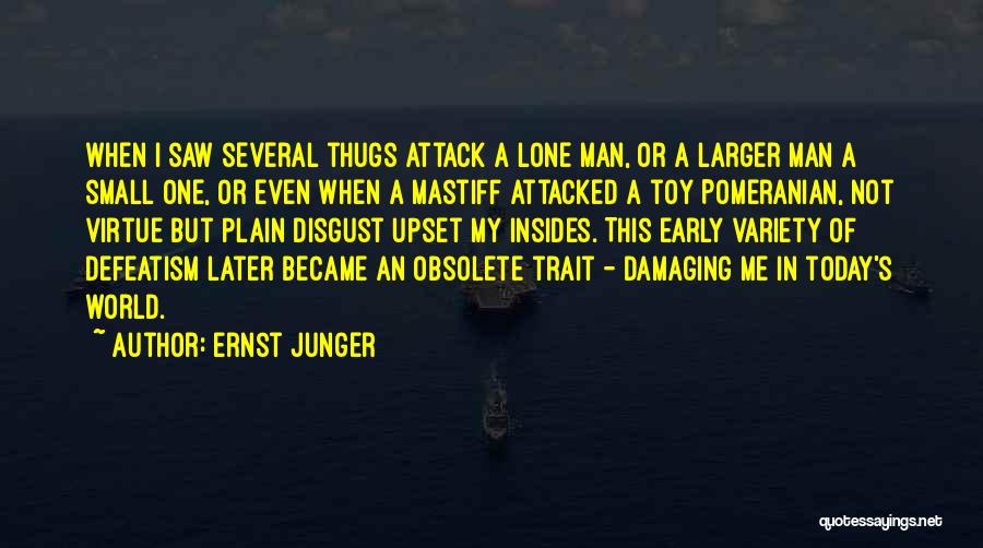 Ernst Junger Quotes: When I Saw Several Thugs Attack A Lone Man, Or A Larger Man A Small One, Or Even When A