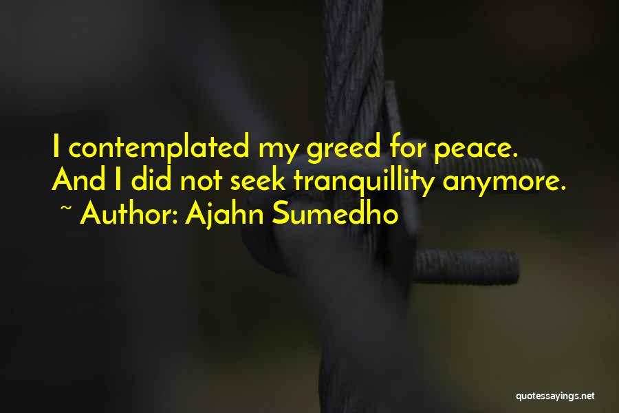 Ajahn Sumedho Quotes: I Contemplated My Greed For Peace. And I Did Not Seek Tranquillity Anymore.