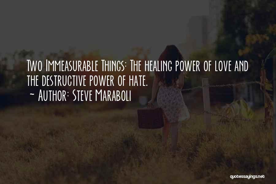 Steve Maraboli Quotes: Two Immeasurable Things: The Healing Power Of Love And The Destructive Power Of Hate.