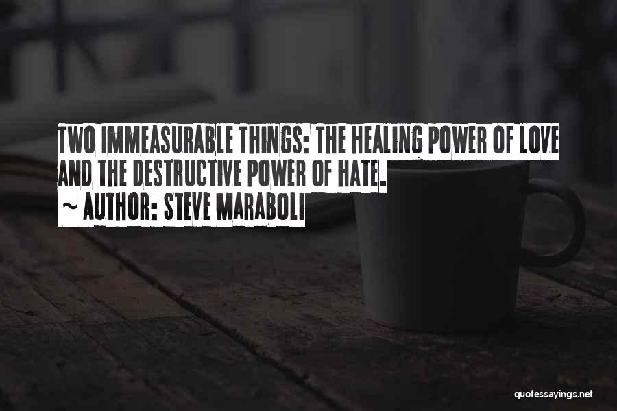 Steve Maraboli Quotes: Two Immeasurable Things: The Healing Power Of Love And The Destructive Power Of Hate.