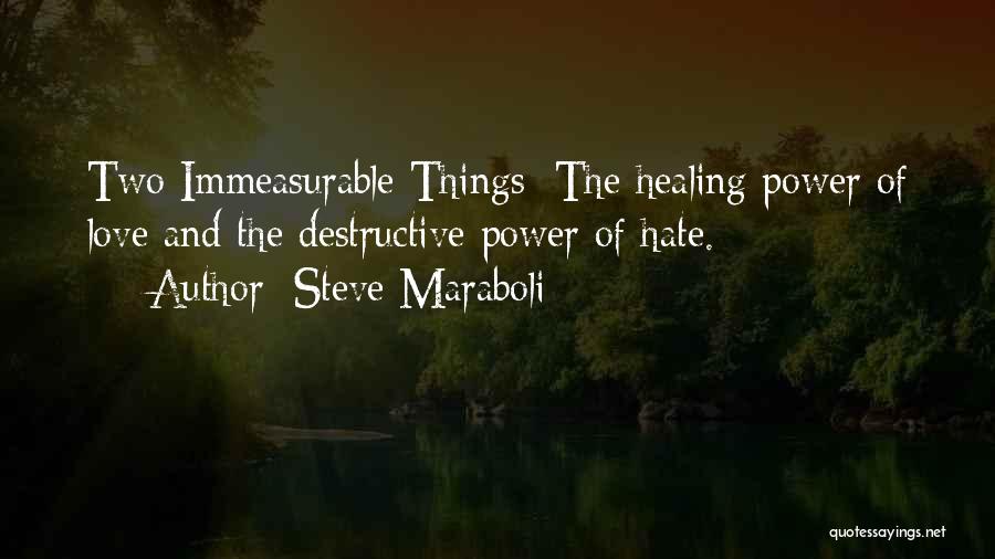 Steve Maraboli Quotes: Two Immeasurable Things: The Healing Power Of Love And The Destructive Power Of Hate.