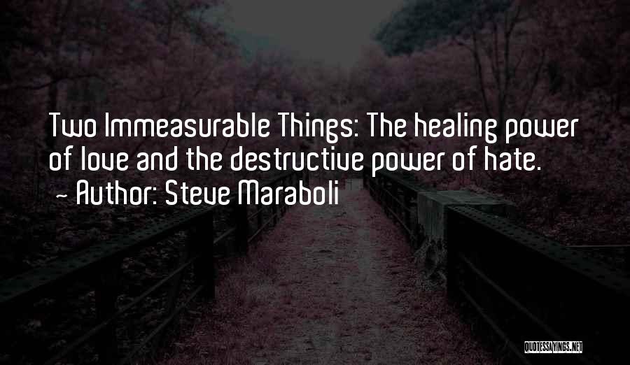 Steve Maraboli Quotes: Two Immeasurable Things: The Healing Power Of Love And The Destructive Power Of Hate.