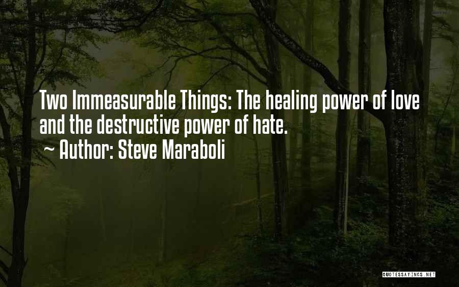 Steve Maraboli Quotes: Two Immeasurable Things: The Healing Power Of Love And The Destructive Power Of Hate.