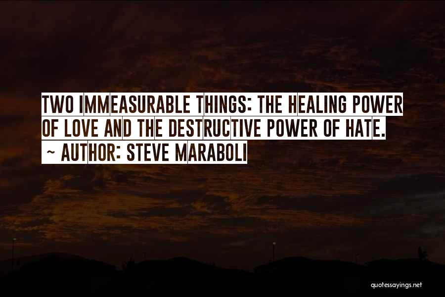 Steve Maraboli Quotes: Two Immeasurable Things: The Healing Power Of Love And The Destructive Power Of Hate.