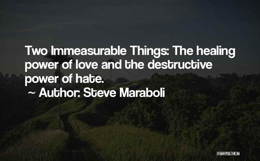 Steve Maraboli Quotes: Two Immeasurable Things: The Healing Power Of Love And The Destructive Power Of Hate.